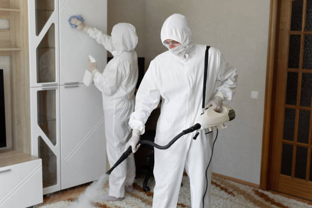 24/7 Emergency Odor Removal experts in Hamilton, OH